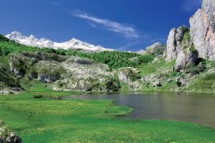 picos-de-europa_7ae85610_1200x630